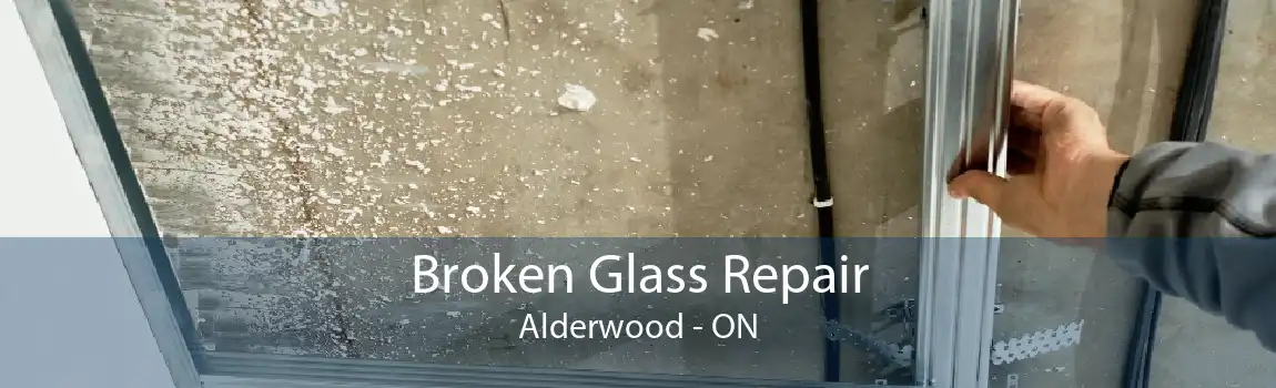 Broken Glass Repair Alderwood - ON