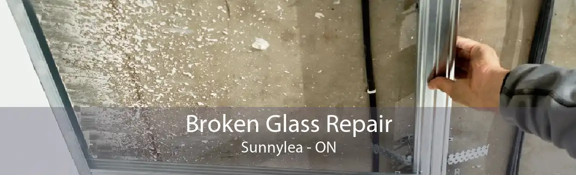 Broken Glass Repair Sunnylea - ON