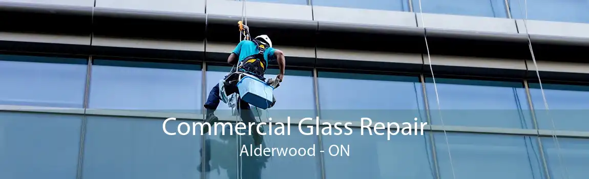 Commercial Glass Repair Alderwood - ON