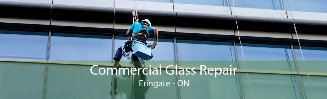 Commercial Glass Repair Eringate - ON