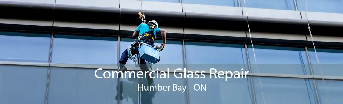 Commercial Glass Repair Humber Bay - ON
