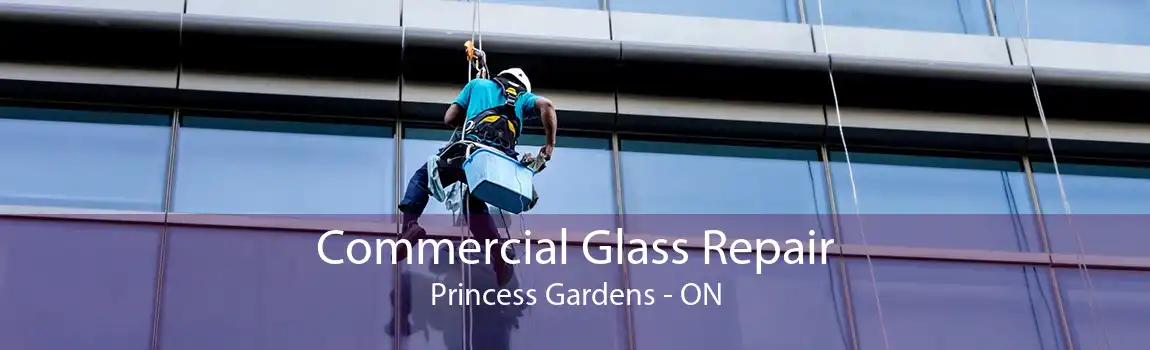 Commercial Glass Repair Princess Gardens - ON