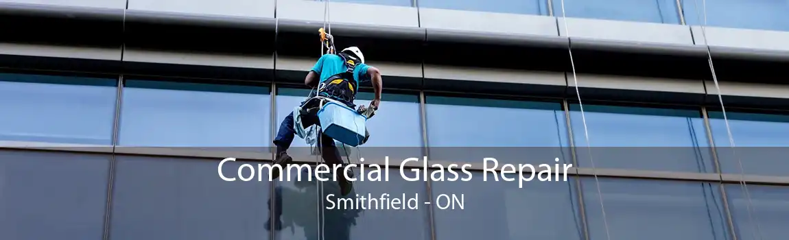 Commercial Glass Repair Smithfield - ON