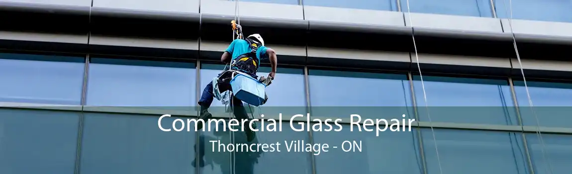 Commercial Glass Repair Thorncrest Village - ON