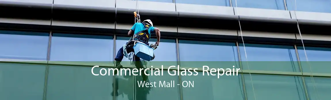 Commercial Glass Repair West Mall - ON