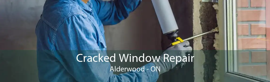 Cracked Window Repair Alderwood - ON