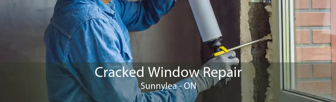 Cracked Window Repair Sunnylea - ON