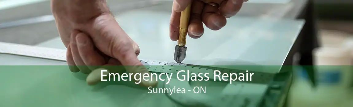 Emergency Glass Repair Sunnylea - ON