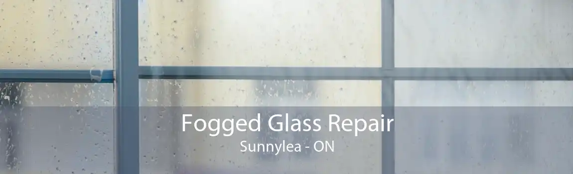 Fogged Glass Repair Sunnylea - ON