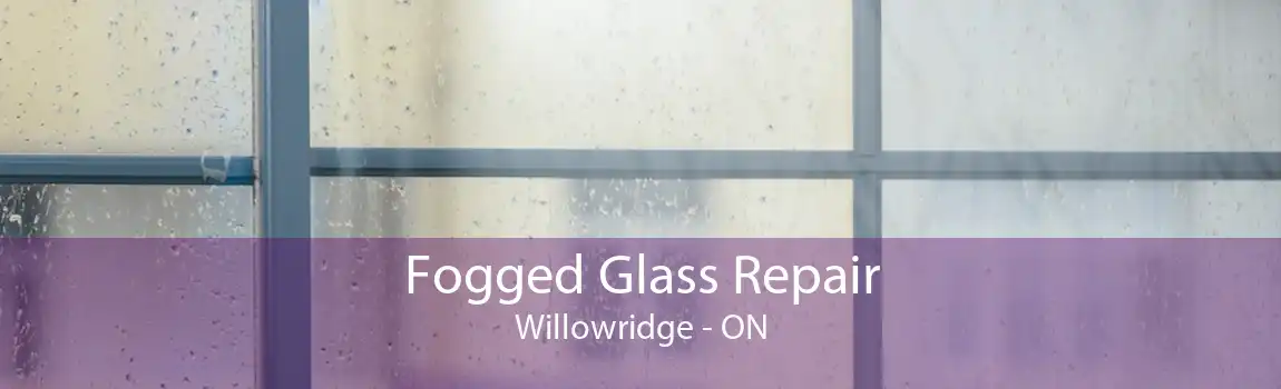 Fogged Glass Repair Willowridge - ON