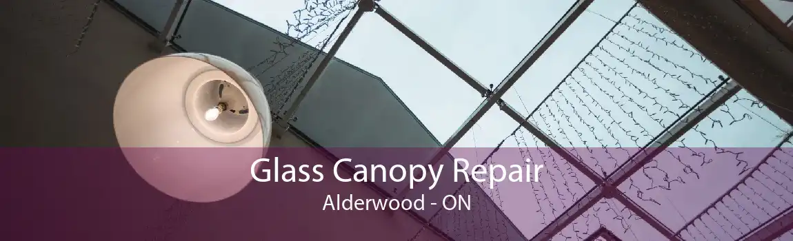 Glass Canopy Repair Alderwood - ON