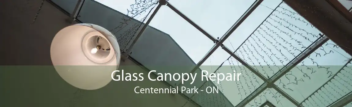 Glass Canopy Repair Centennial Park - ON