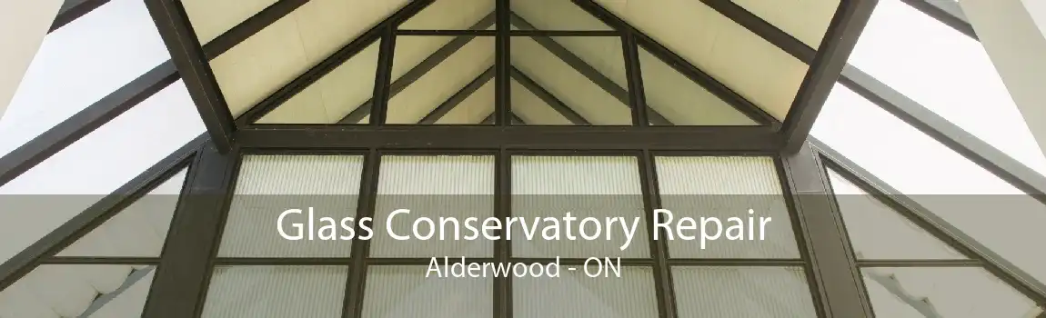 Glass Conservatory Repair Alderwood - ON