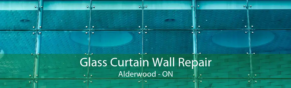 Glass Curtain Wall Repair Alderwood - ON