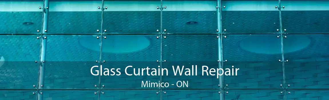 Glass Curtain Wall Repair Mimico - ON