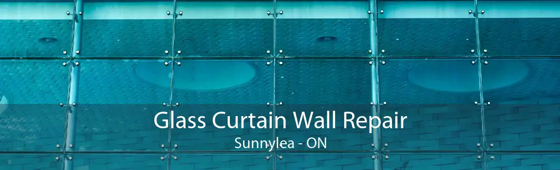 Glass Curtain Wall Repair Sunnylea - ON