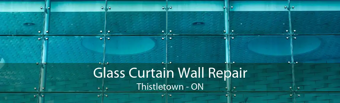 Glass Curtain Wall Repair Thistletown - ON