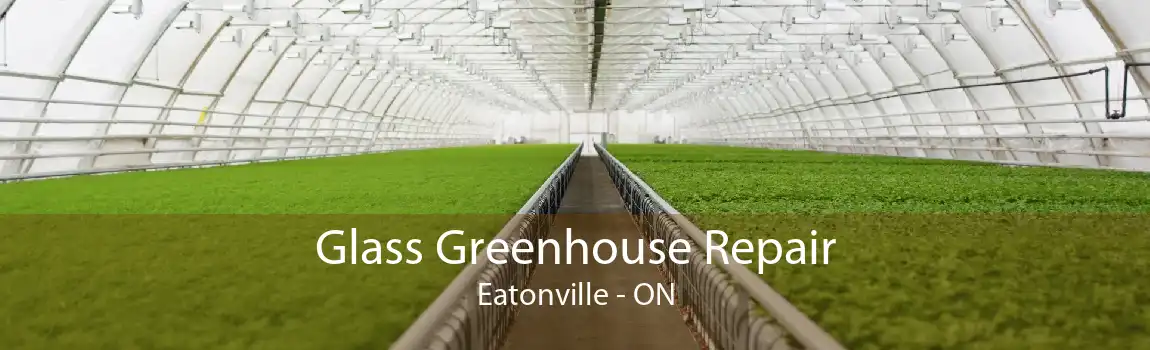 Glass Greenhouse Repair Eatonville - ON