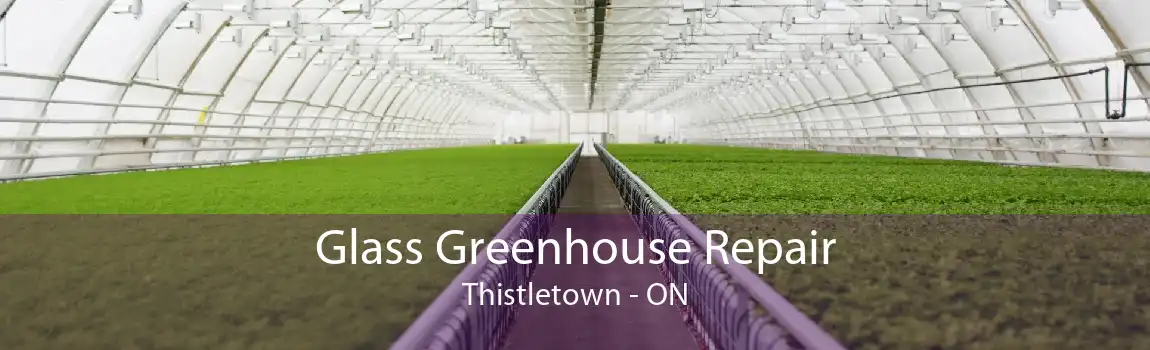 Glass Greenhouse Repair Thistletown - ON