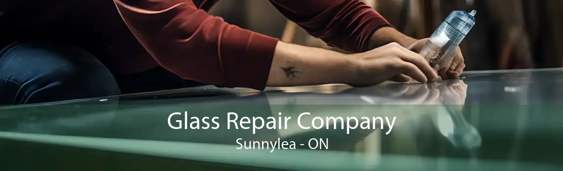 Glass Repair Company Sunnylea - ON
