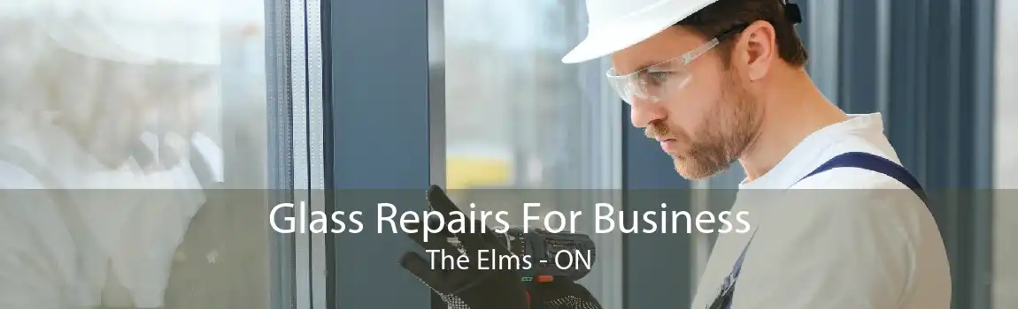 Glass Repairs For Business The Elms - ON