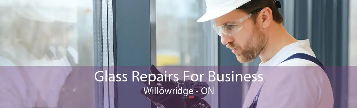 Glass Repairs For Business Willowridge - ON