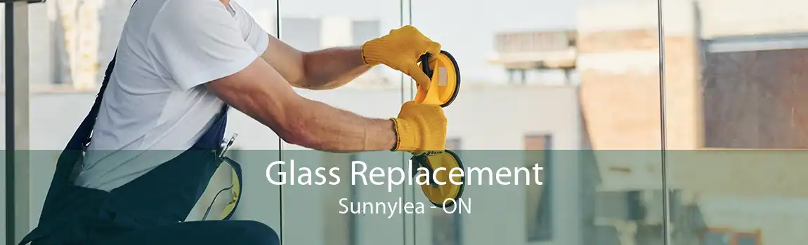 Glass Replacement Sunnylea - ON