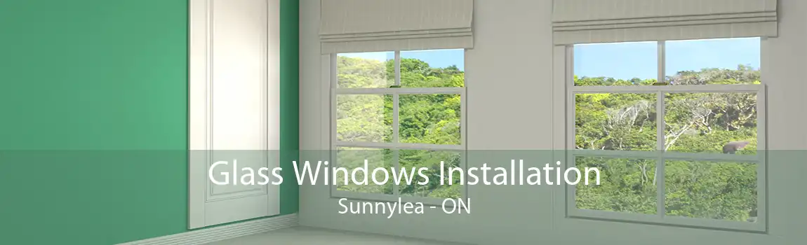 Glass Windows Installation Sunnylea - ON