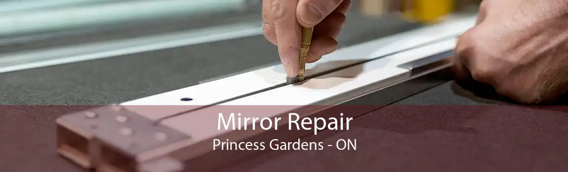 Mirror Repair Princess Gardens - ON