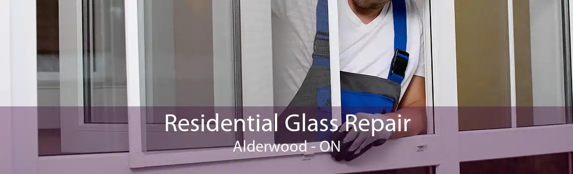 Residential Glass Repair Alderwood - ON