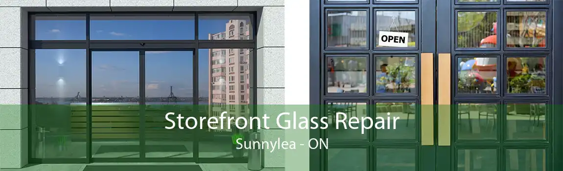 Storefront Glass Repair Sunnylea - ON