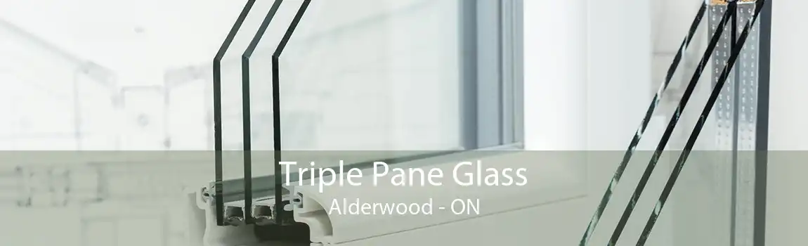 Triple Pane Glass Alderwood - ON