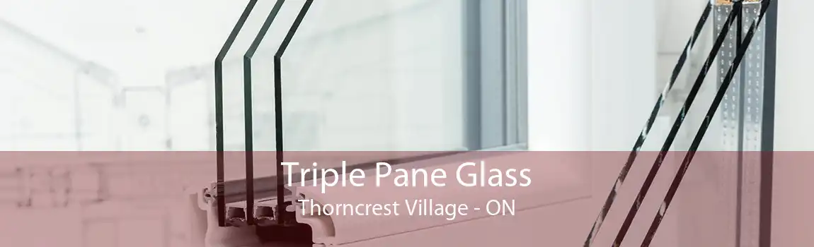 Triple Pane Glass Thorncrest Village - ON
