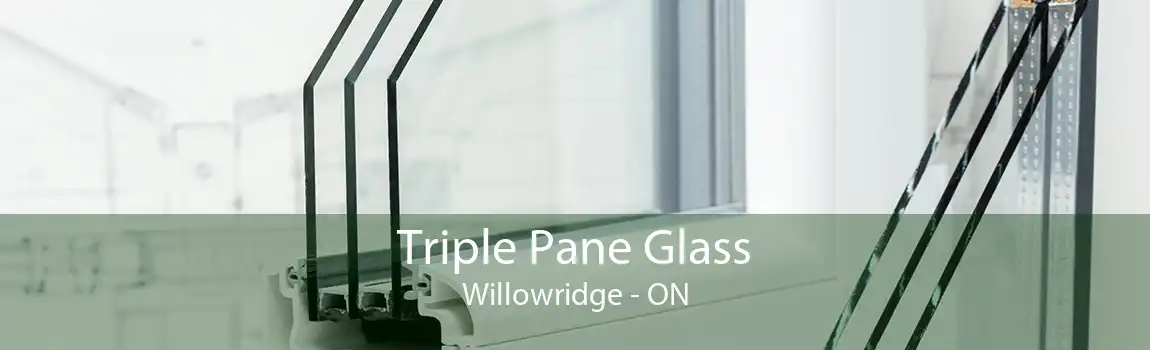 Triple Pane Glass Willowridge - ON