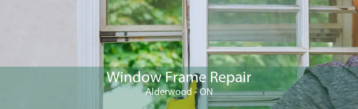 Window Frame Repair Alderwood - ON