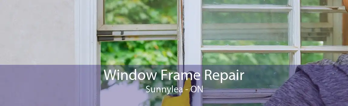 Window Frame Repair Sunnylea - ON