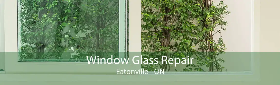 Window Glass Repair Eatonville - ON