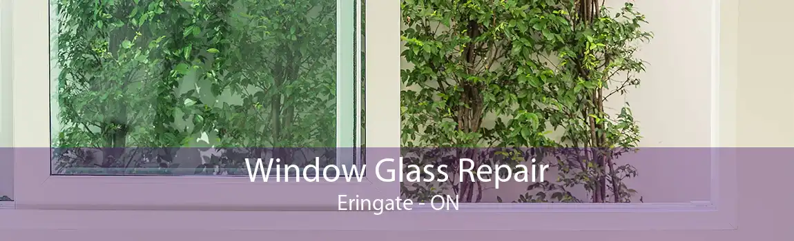Window Glass Repair Eringate - ON