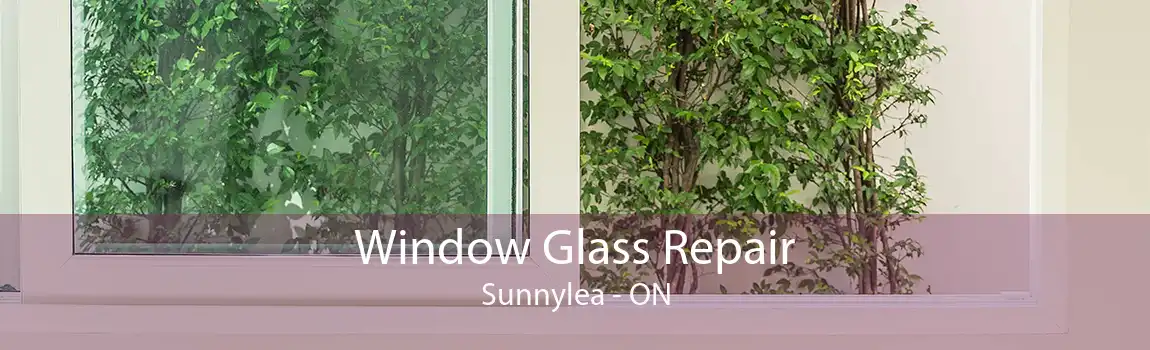 Window Glass Repair Sunnylea - ON