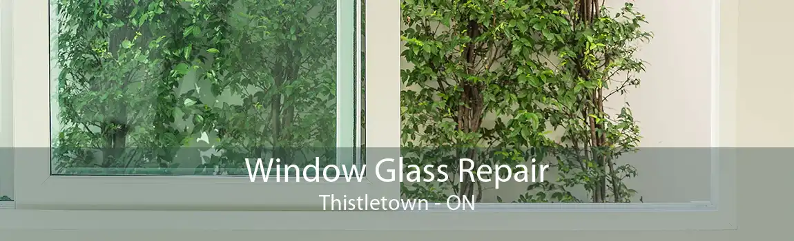 Window Glass Repair Thistletown - ON