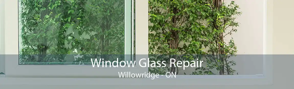 Window Glass Repair Willowridge - ON