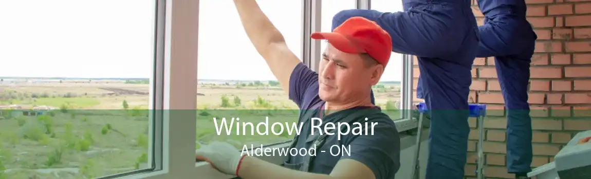 Window Repair Alderwood - ON
