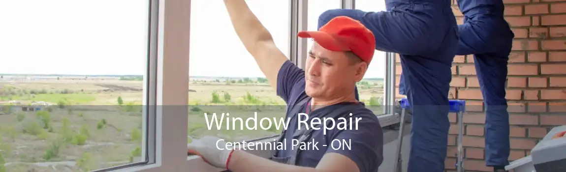 Window Repair Centennial Park - ON