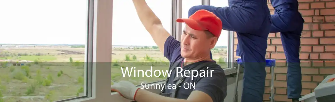 Window Repair Sunnylea - ON