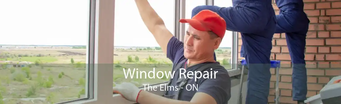Window Repair The Elms - ON