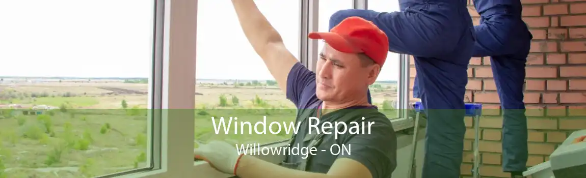 Window Repair Willowridge - ON