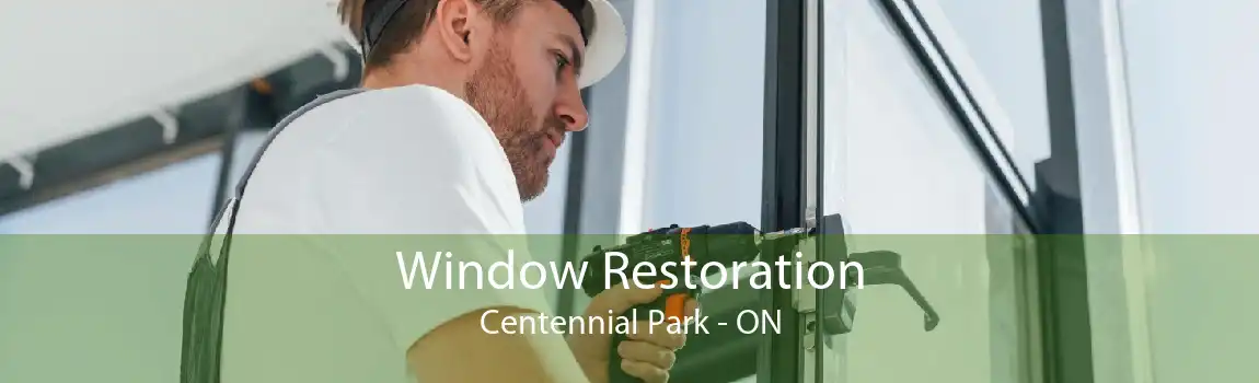 Window Restoration Centennial Park - ON