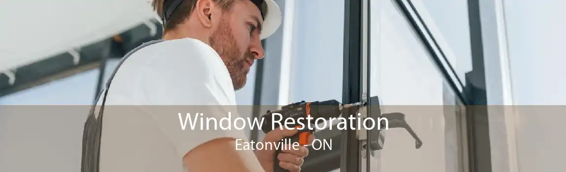 Window Restoration Eatonville - ON