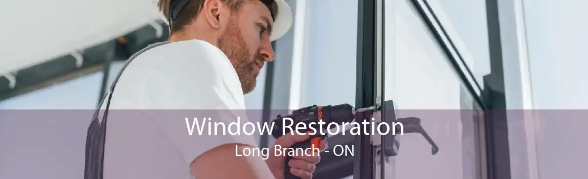 Window Restoration Long Branch - ON