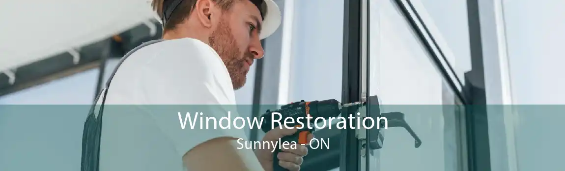Window Restoration Sunnylea - ON
